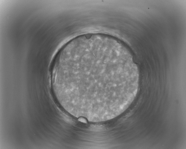 X0000063511509200602172132