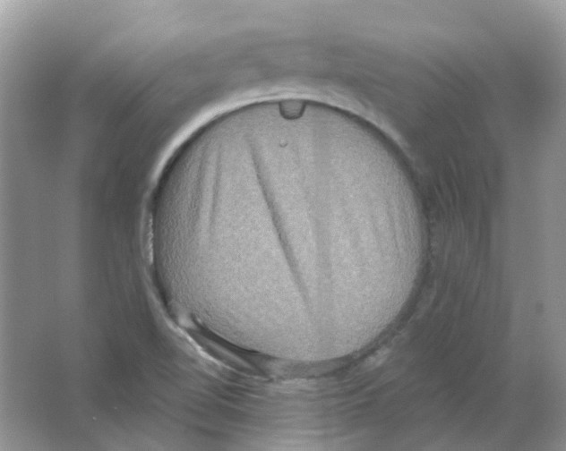 X0000063511510200602172132