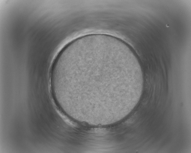 X0000063511511200602172132