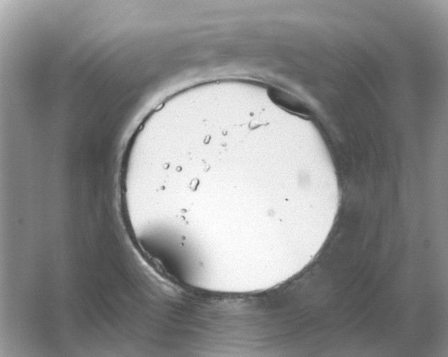 X0000063511512200602172132