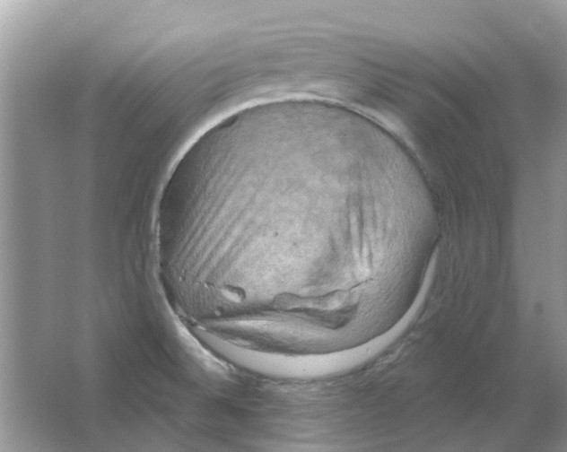 X0000063511524200602172132