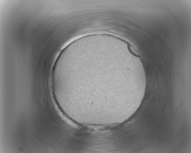 X0000063511526200602172132