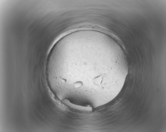 X0000063511530200602172132