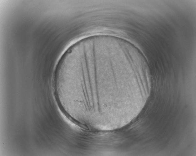 X0000063511531200602172132