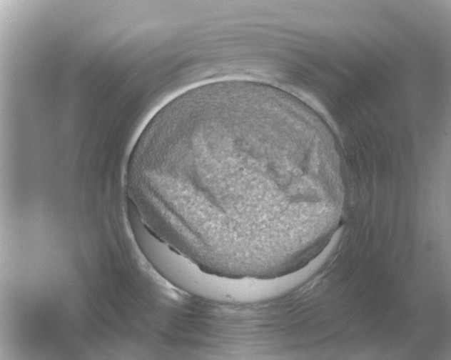 X0000063511532200602172132