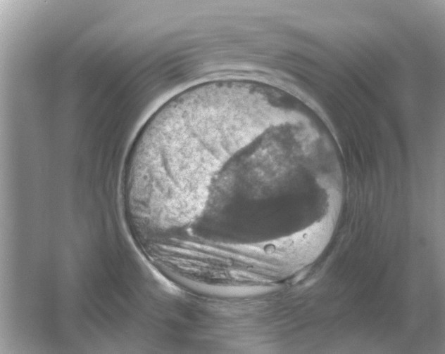 X0000063511533200602172132