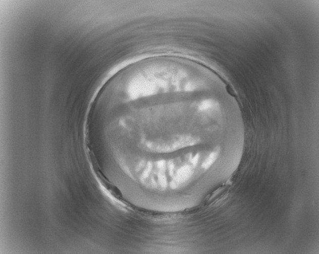 X0000063511535200602172132