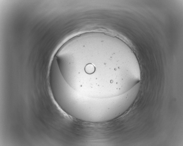 X0000063511536200602172132