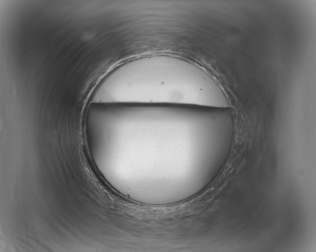 X0000063520002200601201137