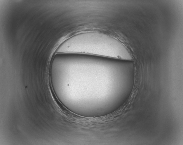 X0000063520003200601201137