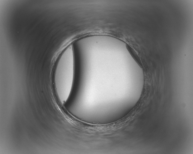 X0000063520005200601201137