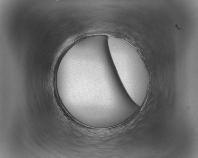 X0000063520006200601201137