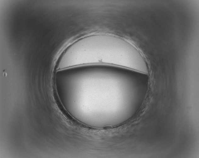 X0000063520007200601201137