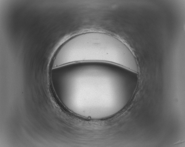 X0000063520008200601201137