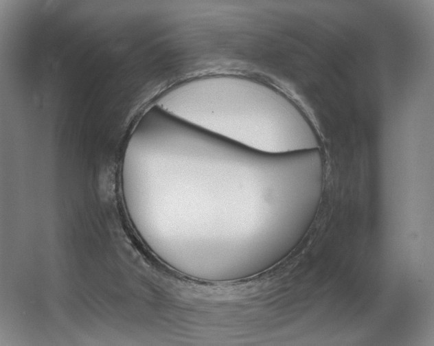 X0000063520010200601201137