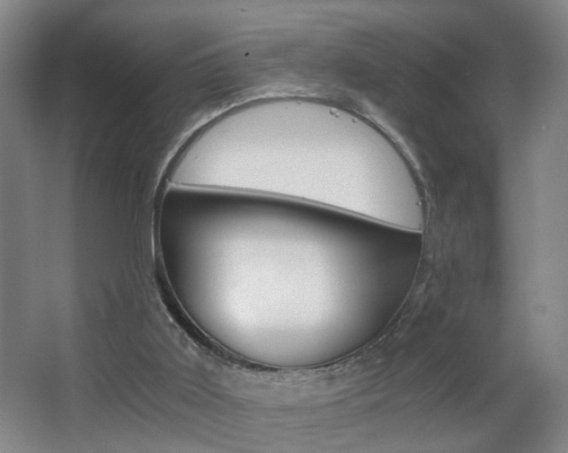 X0000063520011200601201137