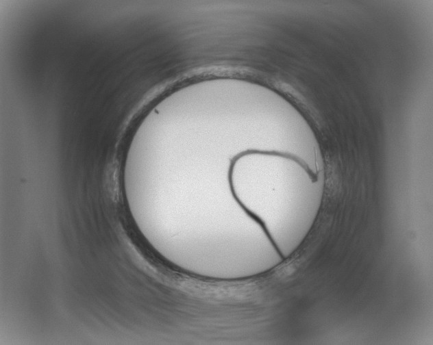 X0000063520016200601201137