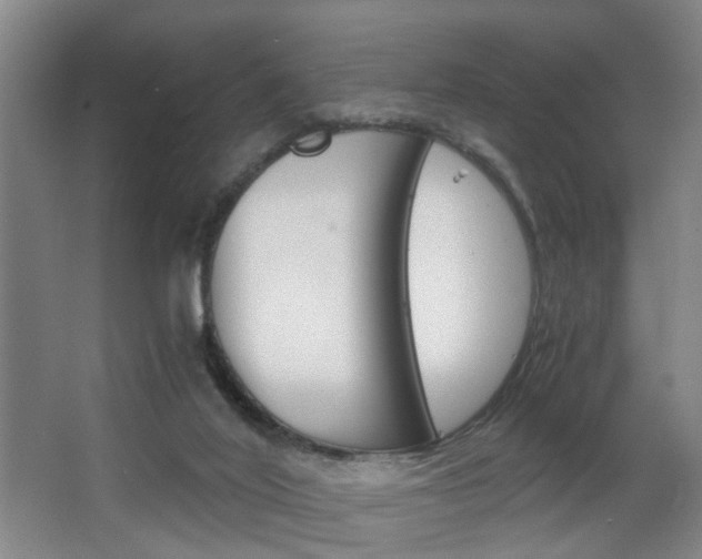 X0000063520020200601201137