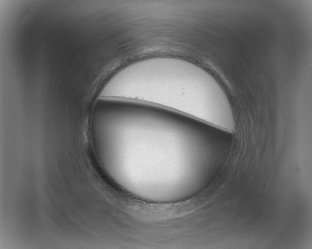 X0000063520023200601201137