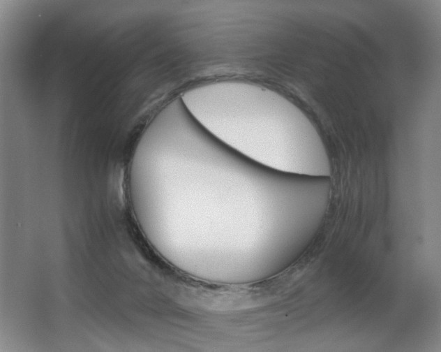 X0000063520024200601201137