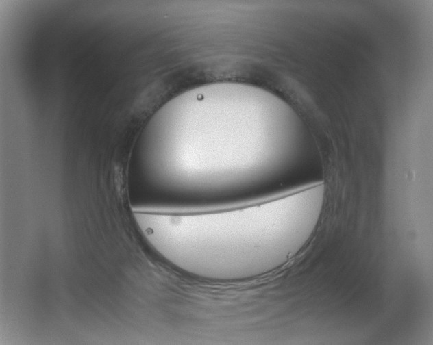 X0000063520025200601201137