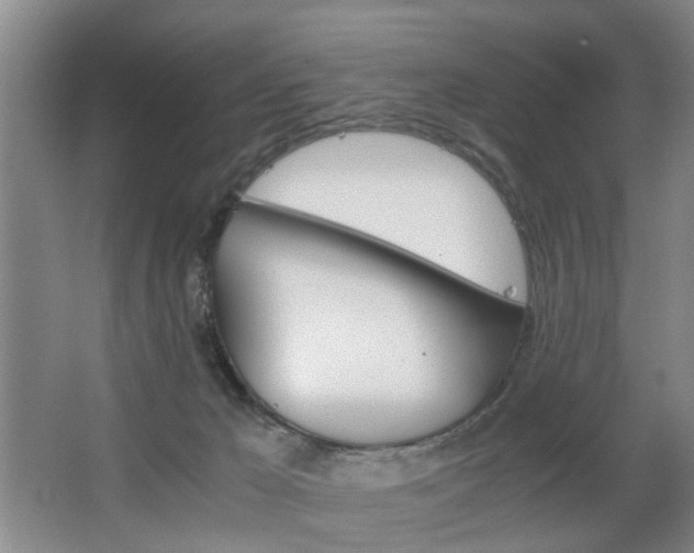 X0000063520029200601201137