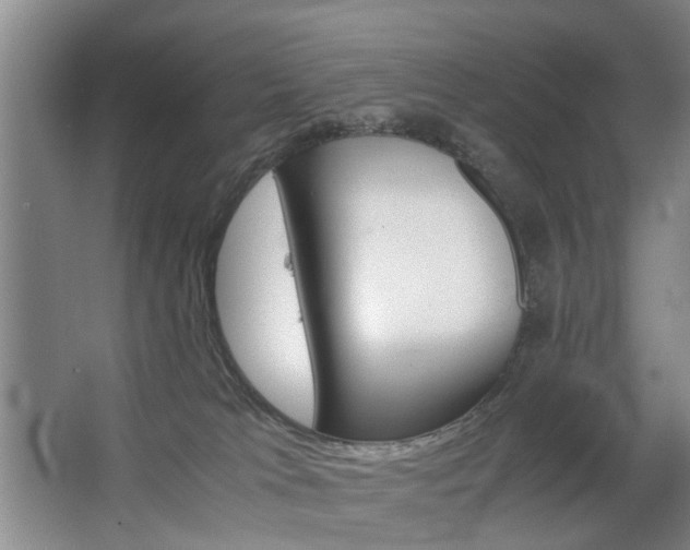 X0000063520037200601201137