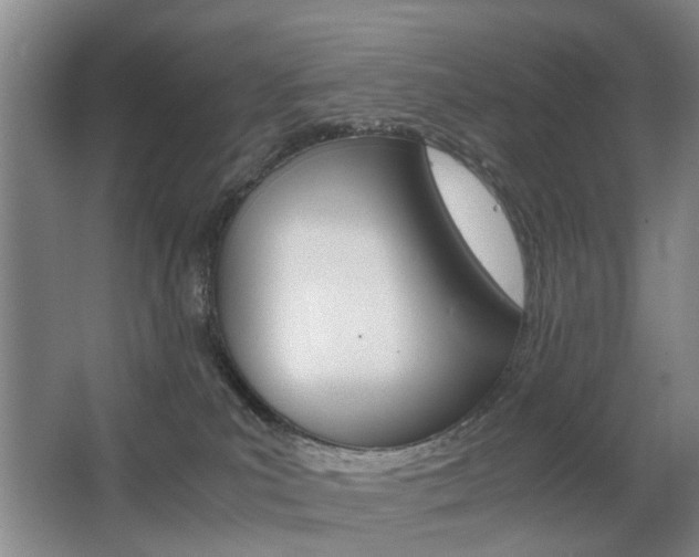 X0000063520039200601201137