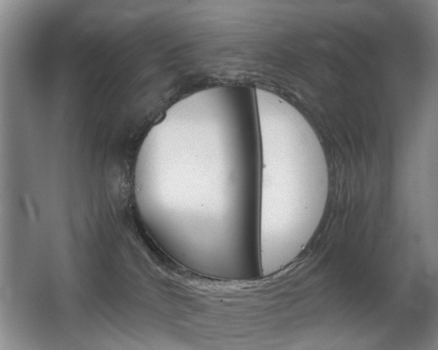 X0000063520040200601201137