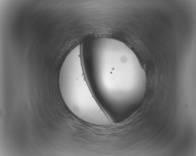 X0000063520041200601201137