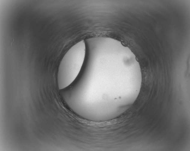 X0000063520042200601201137