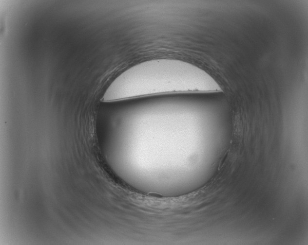 X0000063520043200601201137