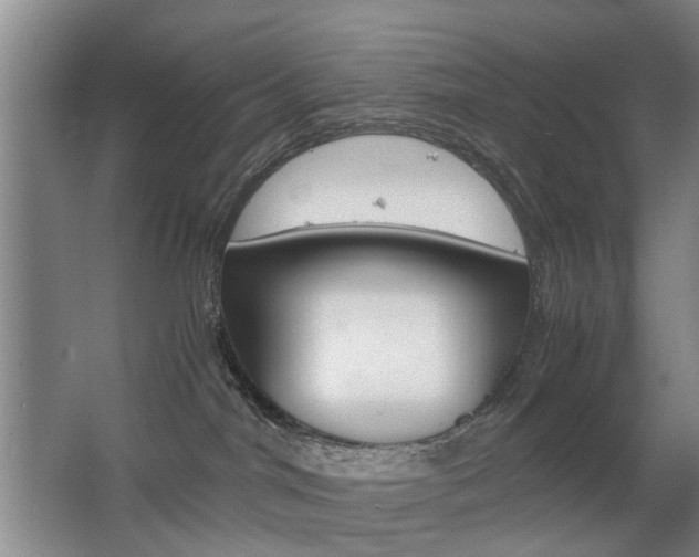 X0000063520044200601201137