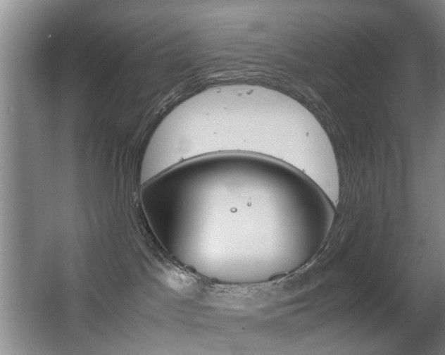 X0000063520045200601201137