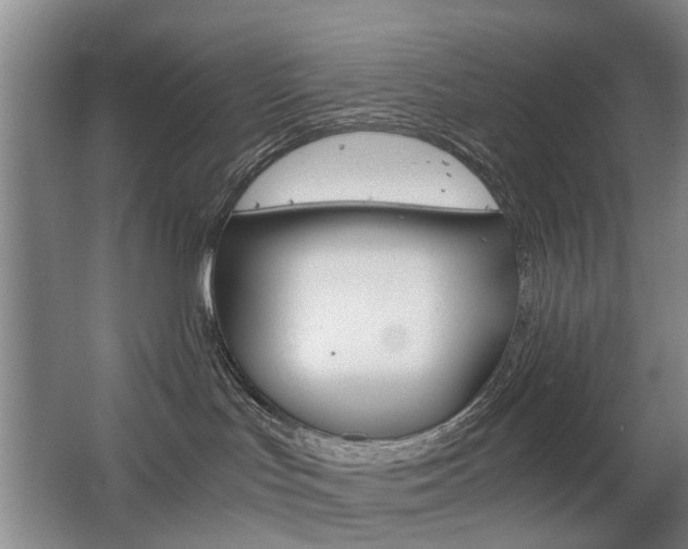 X0000063520047200601201137