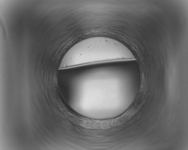 X0000063520048200601201137