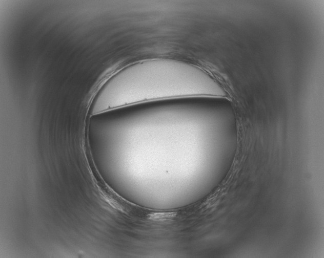 X0000063520051200601201136