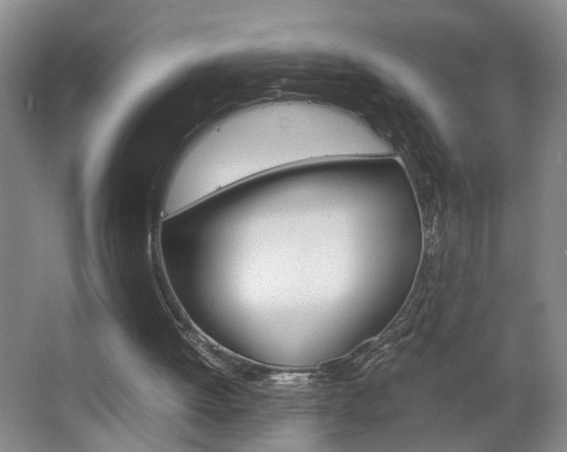 X0000063520052200601201136