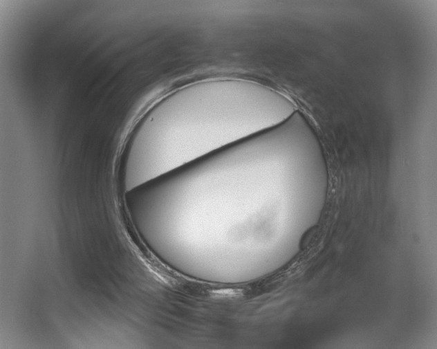 X0000063520053200601201136