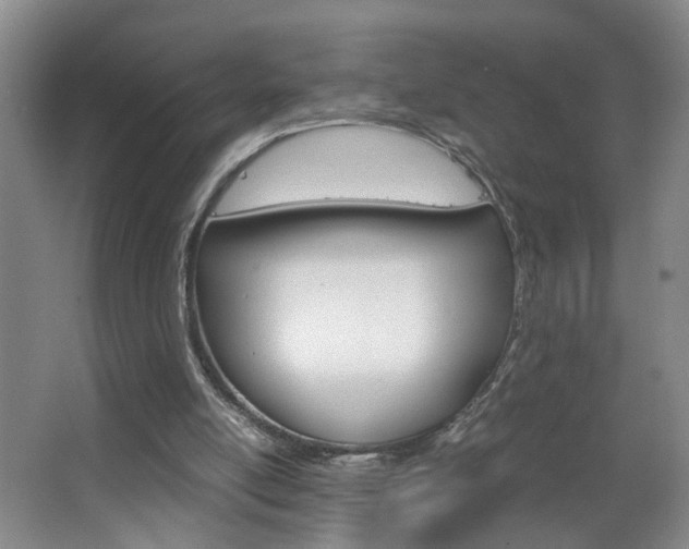 X0000063520054200601201136