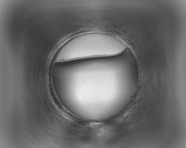 X0000063520055200601201136