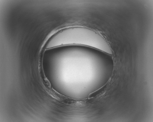 X0000063520056200601201136