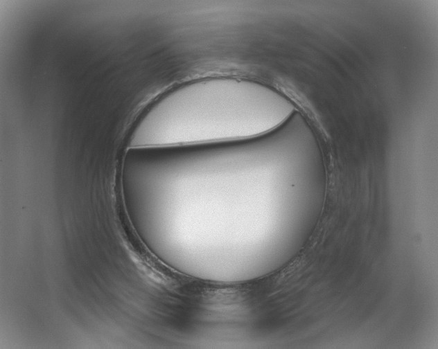 X0000063520058200601201136