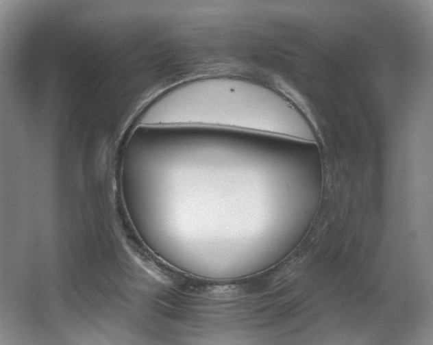 X0000063520059200601201136