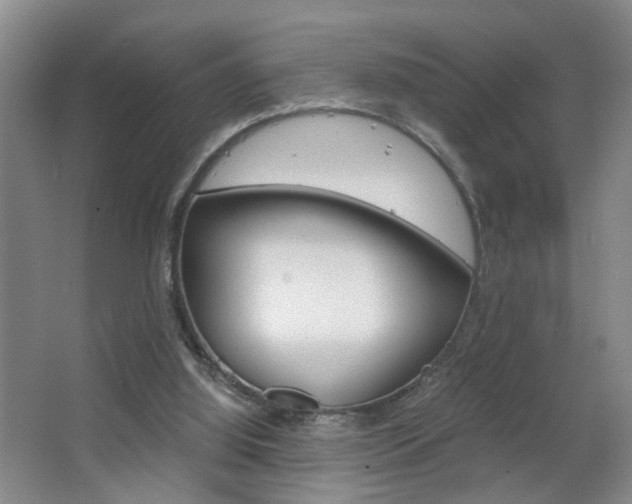 X0000063520060200601201136