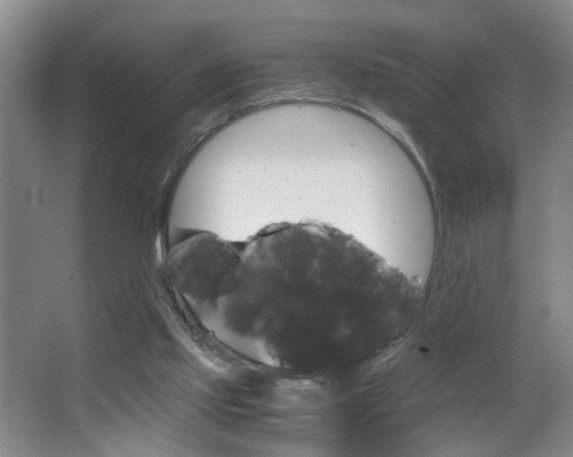 X0000063520061200601201136