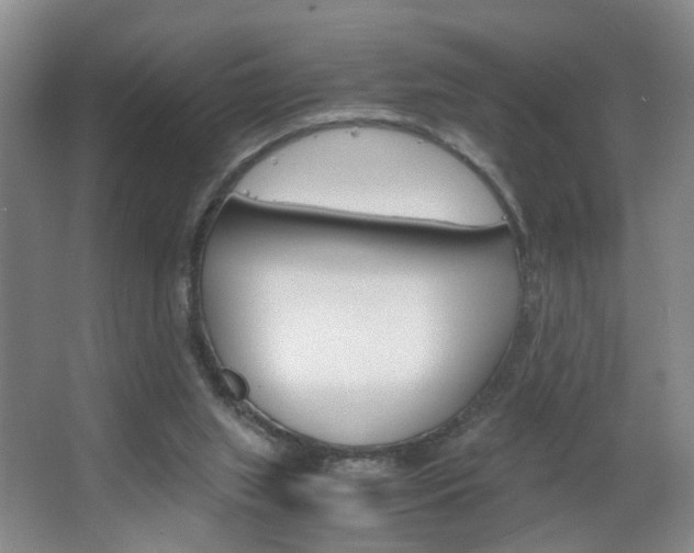 X0000063520063200601201136