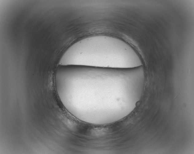 X0000063520065200601201136