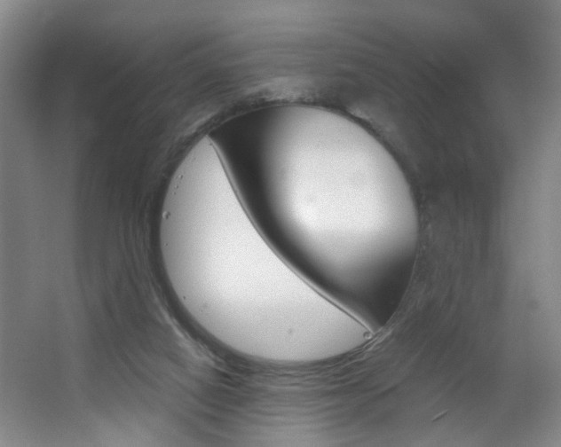 X0000063520066200601201136