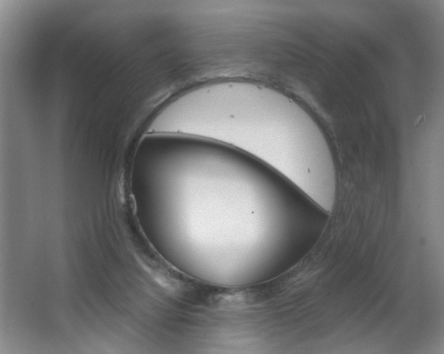 X0000063520068200601201136